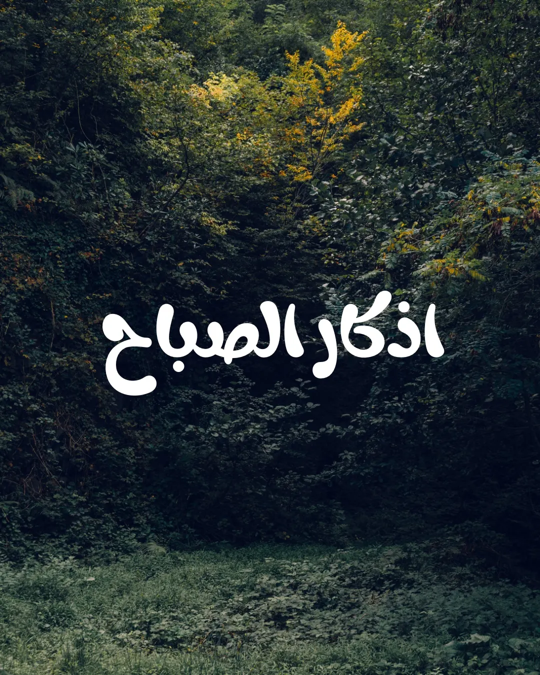 اللهم أخرجنِي من حولِي وقوتي إلى حولكَ وقوتكَ
فإنّي لا حولَ لي ولا قوة