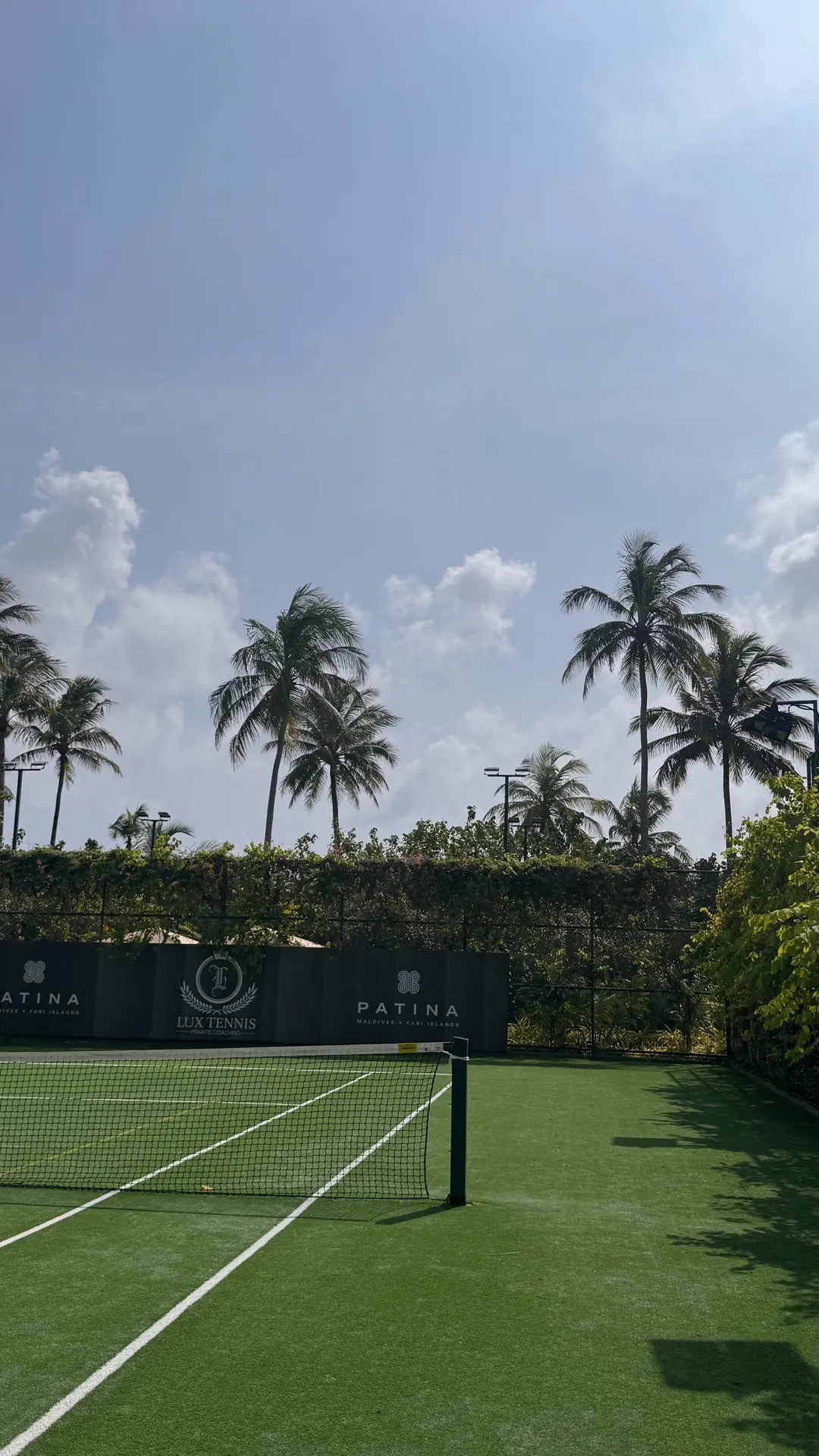 🎾