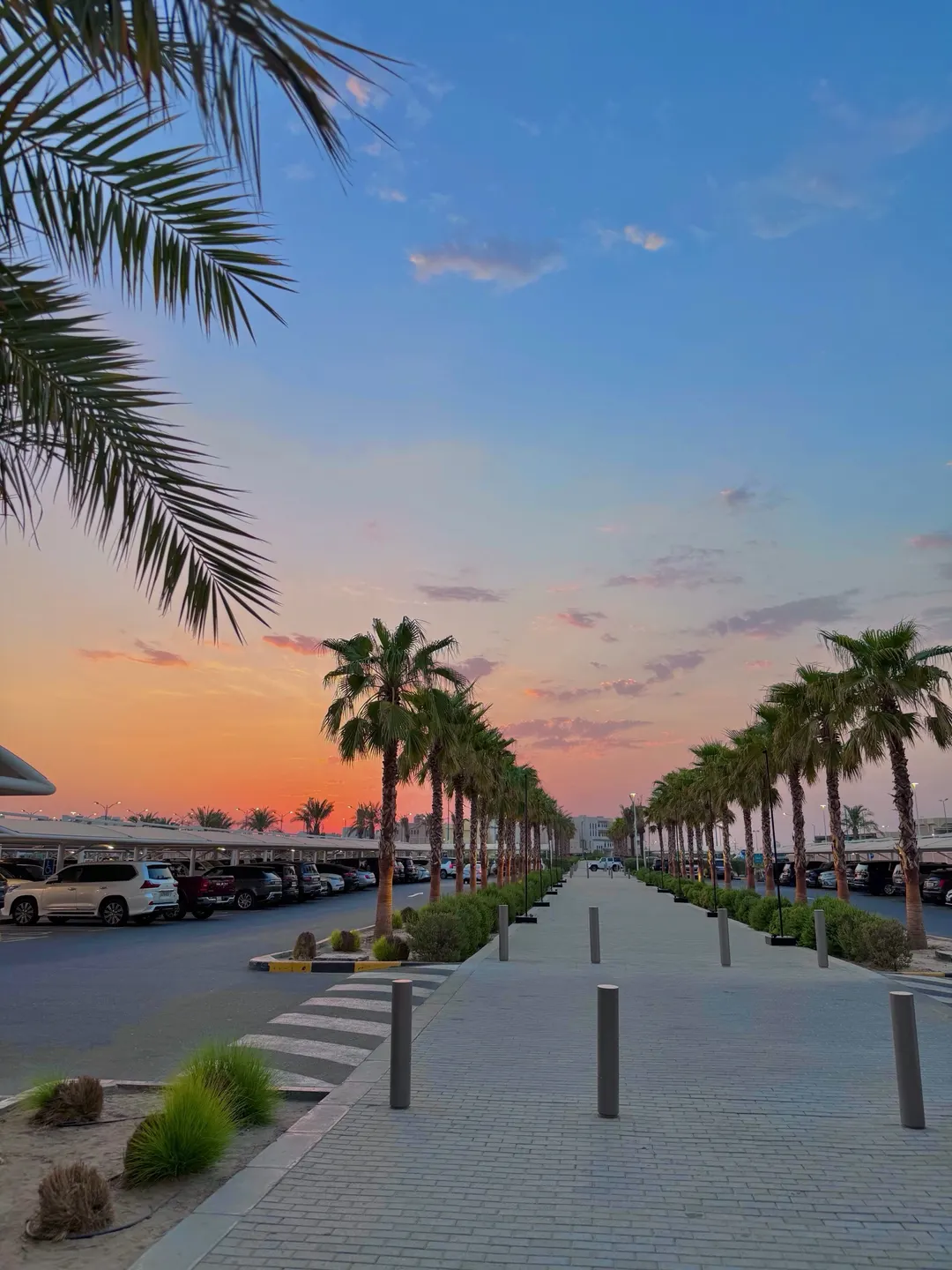 🌅🌴🌤️#وين