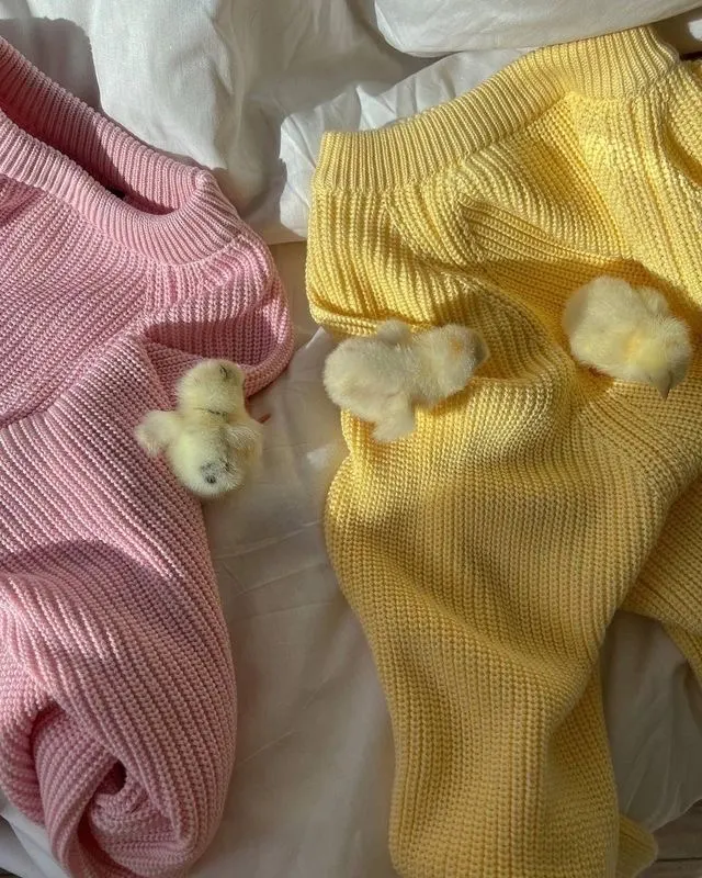 ❣️🐥 — image 2 of 3