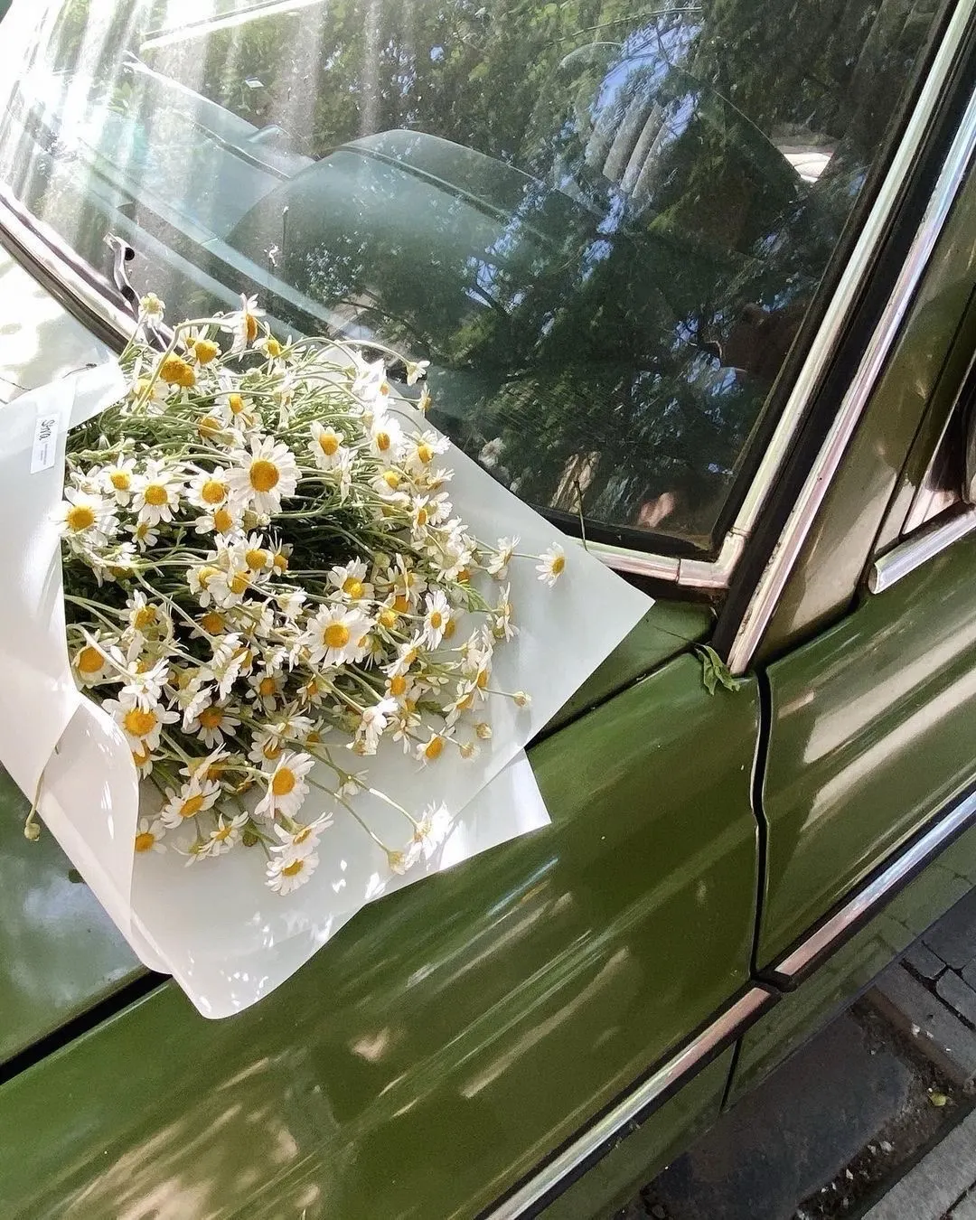 🌼❣️.