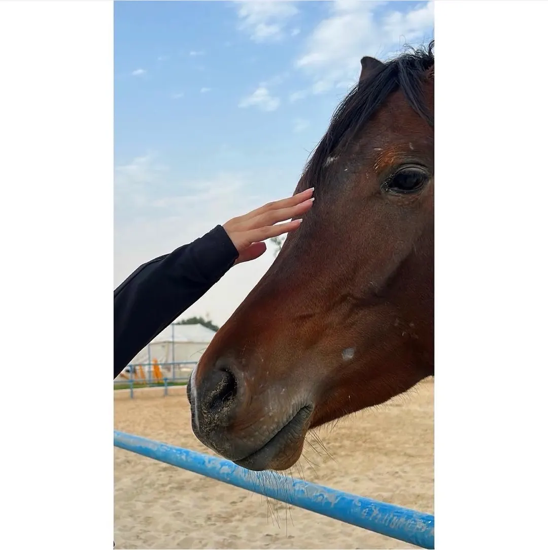 🩵🐎