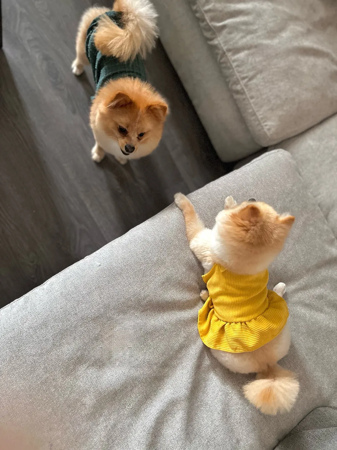 Double the trouble💛